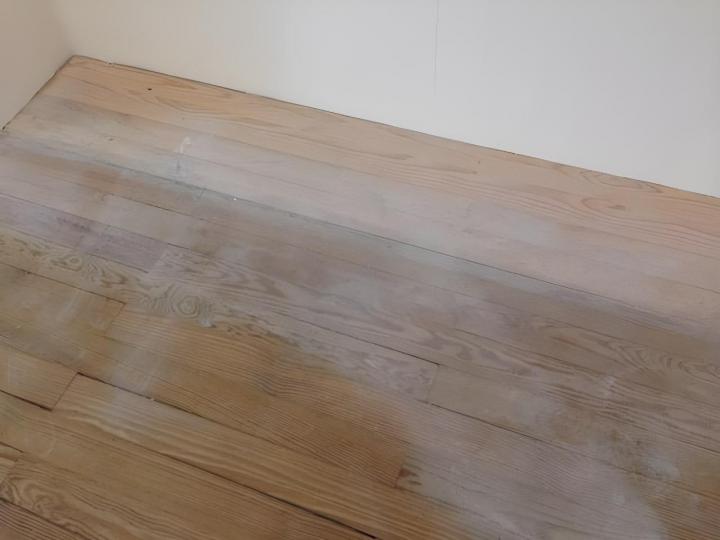 Services d'entretien pour locaux commerciaux, Antibes